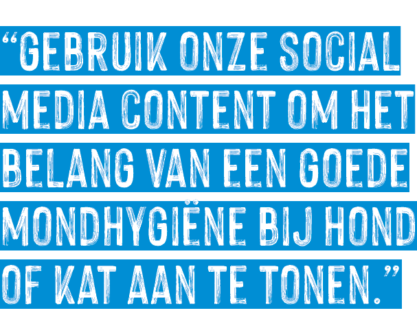  gebruik onze social media content om het belang van een goede mondhygiëne bij hond of kat aan te tonen  